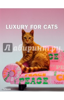 Luxury For Cats