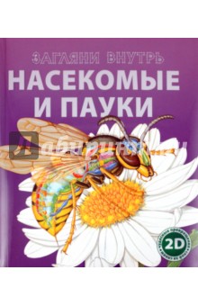 Насекомые и пауки