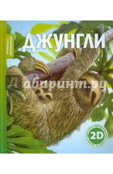 Джунгли