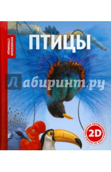 Птицы