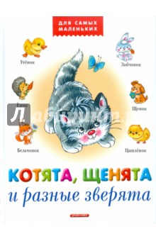 Котята, щенята и разные зверята