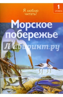 Морское побережье