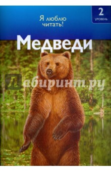 Медведи