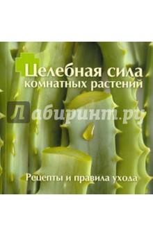 Целебная сила комнатных растений