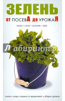 Зелень