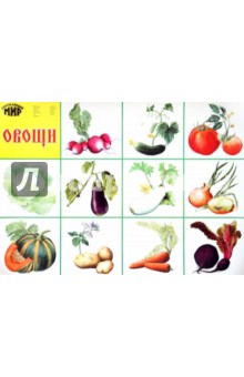 Плакат "Овощи" (546) (50х70см)