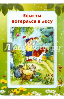 Умные ширмочки. Если ты потерялся в лесу