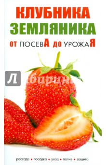 Клубника, земляника