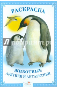 Раскраска. Животные Арктики и Антарктики.