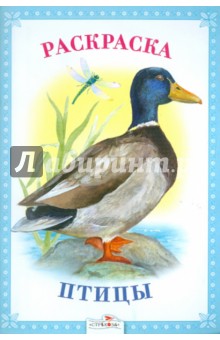 Раскраска. Птицы.