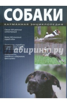 Собаки