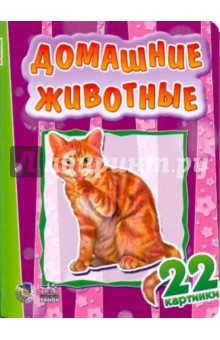 22 картинки: Домашние животные