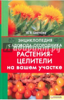 Растения-целители на вашем участке