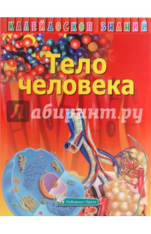 Калейдоскоп знаний. Тело человека