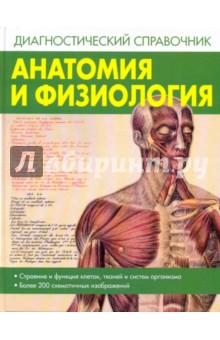 Анатомия и физиология