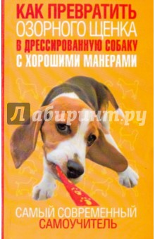 Как превратить озорного щенка в дрессированную собаку с хорошими манерами