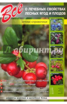 Все о лечебных свойствах лесных ягод и плодов