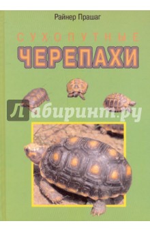 Сухопутные черепахи