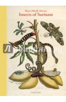 Maria Sibylla Merian, Insects of Surinam
