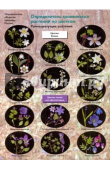 Определитель травянистых растений по цветкам: Раннецветущие растения