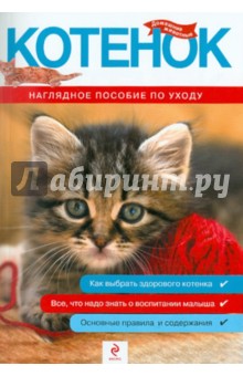 Котенок. Наглядное пособие по уходу