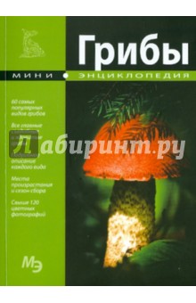 Мини-энциклопедия. Грибы