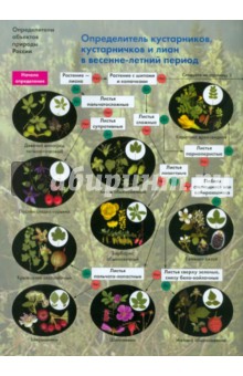 Определитель кустарников, кустарничков и лиан в весенне-летний период