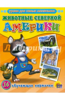 Животные Северной Америки (16 карточек)