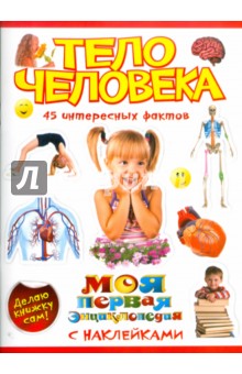 Тело человека