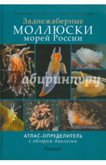 Моллюски морей России