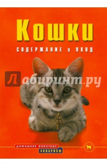 Кошки. Содержание и уход