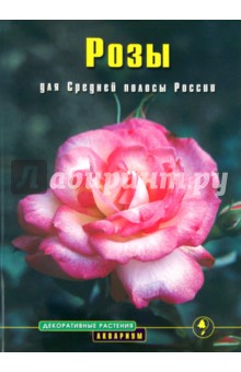 Розы для Средней полосы России. Выращивание и уход