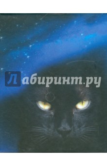 Магический блок для записей "Черная Кошка"