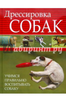 Дрессировка собак. Учимся правильно воспитывать собаку