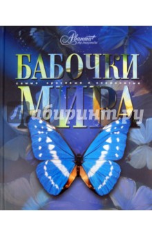 Бабочки мира