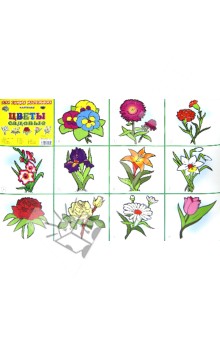 Плакат "Цветы садовые" (50х70 см)