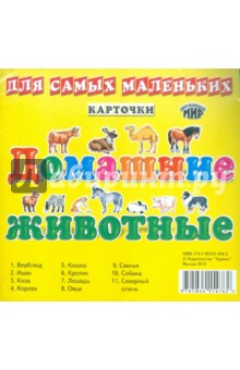 Домашние животные. Карточки для самых маленьких