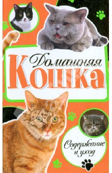 Домашняя кошка. Содержание и уход