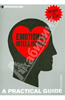 Introducing Emotional Intelligence: A Practical Guide