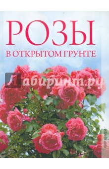 Розы в открытом грунте