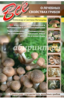 Все о лечебных свойствах грибов
