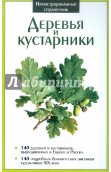 Деревья и кустарники