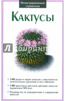 Кактусы
