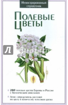 Полевые цветы