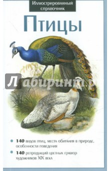 Птицы
