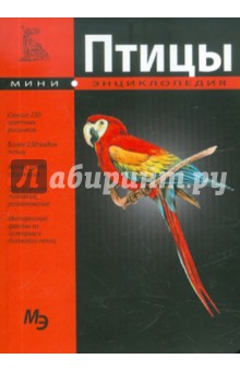 Птицы