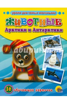 Животные Арктики и Антарктики (16 карточек)