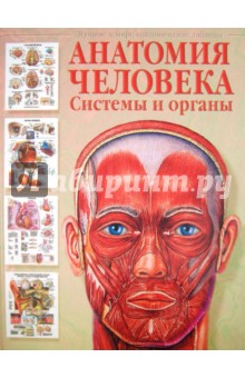 Анатомия человека. Системы и органы