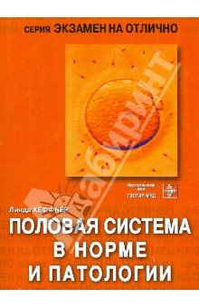 Половая система в норме и патологии