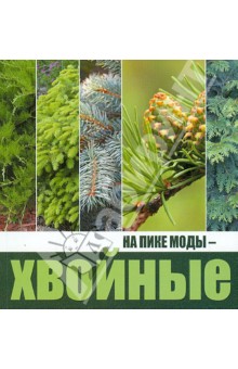 На пике моды - хвойные
